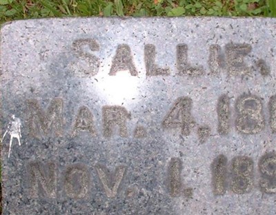 Sallie Phelps Felter on Sysoon