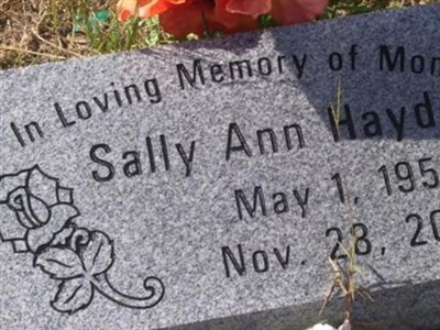 Sally Ann Hayden on Sysoon