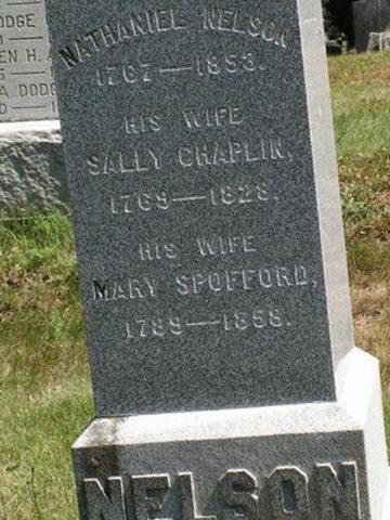 Sally (Chaplin) Nelson on Sysoon