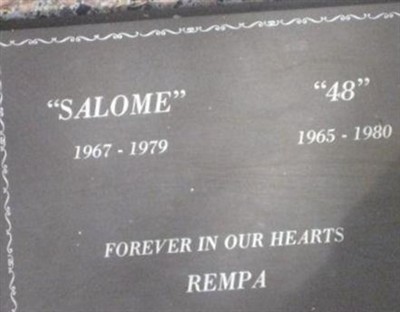 Salome Rempa on Sysoon