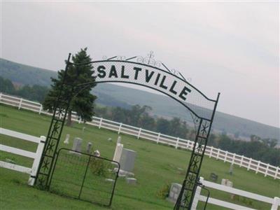 Saltville Cemetery on Sysoon