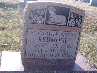 Samantha Bishan Redmond on Sysoon