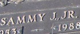 Sammy J. Collins, Jr on Sysoon