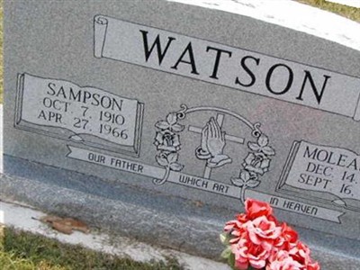 Sampson Watson on Sysoon