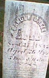 Samuel Shell on Sysoon