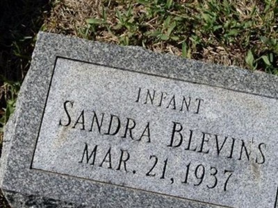 Sandra Blevins on Sysoon