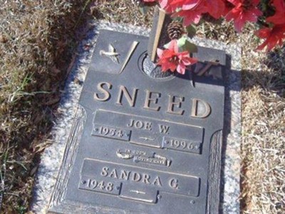 Sandra G. Sneed on Sysoon
