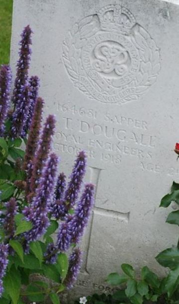 Sapper J T Dougall on Sysoon