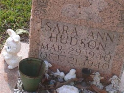 Sara Ann Hudson on Sysoon