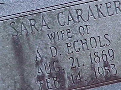 Sara Caraker Echols on Sysoon