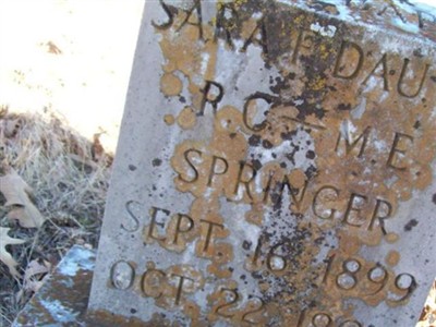 Sara E Springer on Sysoon