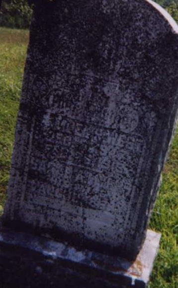 Sarah A. Myers West on Sysoon
