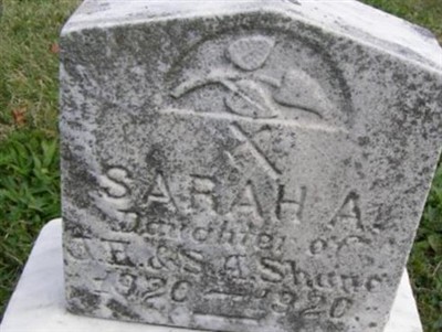Sarah A Shane on Sysoon