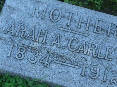 Sarah A Stoddard Carleton on Sysoon
