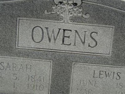 Sarah A. Whitlow Owens on Sysoon