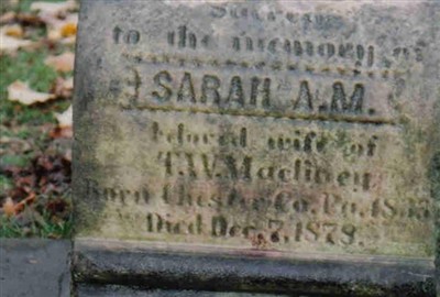Sarah Ann Brower McClincy on Sysoon