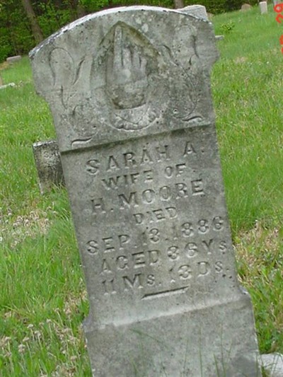 Sarah Ann Hall Moore on Sysoon