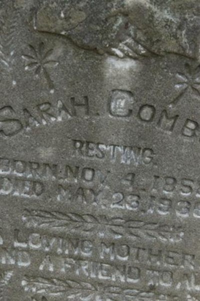 Sarah Combs on Sysoon