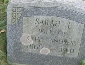 Sarah E Andress on Sysoon