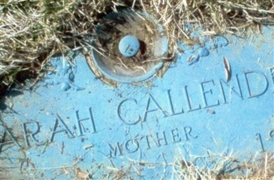 Sarah E. Callender on Sysoon