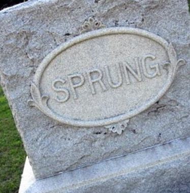 Sarah E Sprung on Sysoon