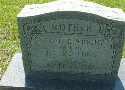 Sarah E. Wright McClung on Sysoon