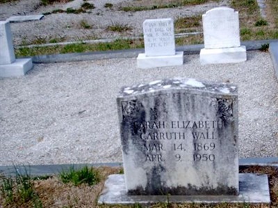 Sarah Elizabeth Carruth Wall on Sysoon