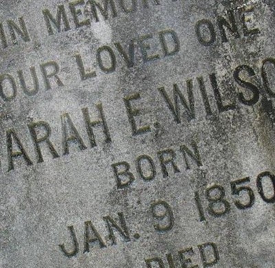 Sarah Elizabeth Etheridge Wilson on Sysoon