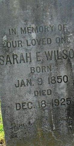 Sarah Elizabeth Etheridge Wilson on Sysoon