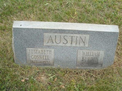 Sarah Elizabeth Gosnell Austin on Sysoon
