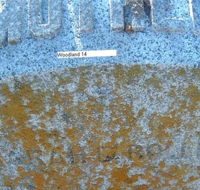 Sarah Elizabeth Rollins Rollins, Find a grave on Sysoon Sarah Elizabeth Rollins Rollins on Sysoon