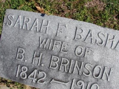 Sarah F Bashaw Brinson on Sysoon