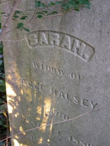 Sarah Halsey on Sysoon