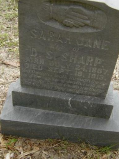 Sarah Jane Sharp on Sysoon