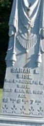 Sarah L Wise on Sysoon