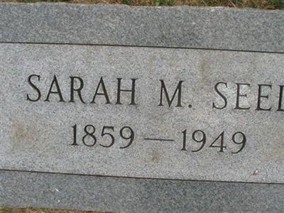 Sarah M. Seed on Sysoon