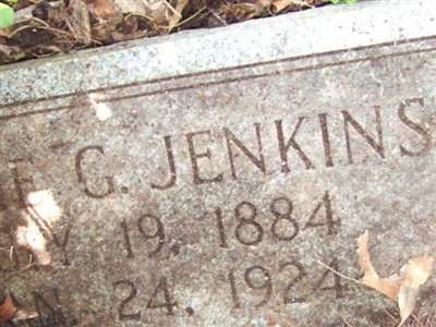 Sarah Ann "Sallie" Good Jenkins on Sysoon