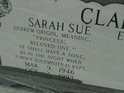Sarah Sue Clark on Sysoon