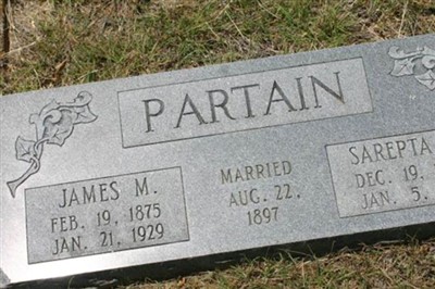 Sarepta N. Partain on Sysoon