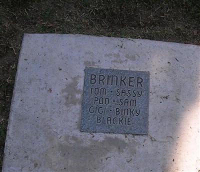 Sassy Brinker on Sysoon