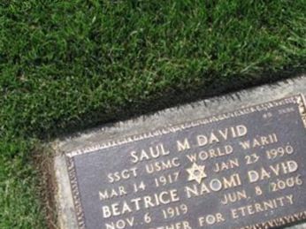 Saul David on Sysoon