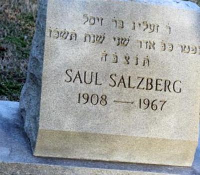Saul Salzberg on Sysoon