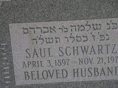 Saul Schwartz on Sysoon