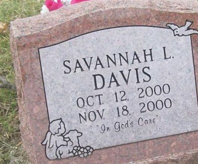 Savannah L. Davis on Sysoon