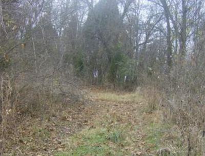 Scipio Cemetery on Sysoon