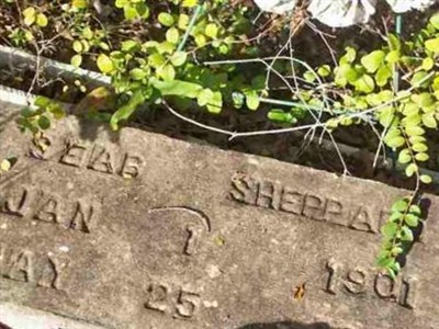 Seab Sheppard on Sysoon