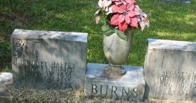 Sebastian B. Burns on Sysoon