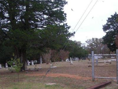 Selma Cemetery on Sysoon