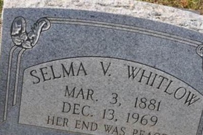 Selma V Whitlow on Sysoon