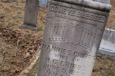 Nancy Serena "Nannie" Holladay Cribbs on Sysoon